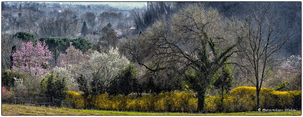 Parco Viatori / Giardino delle Azalee