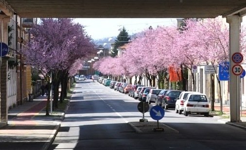 San Gabriele - via delle Prugne Selvatiche